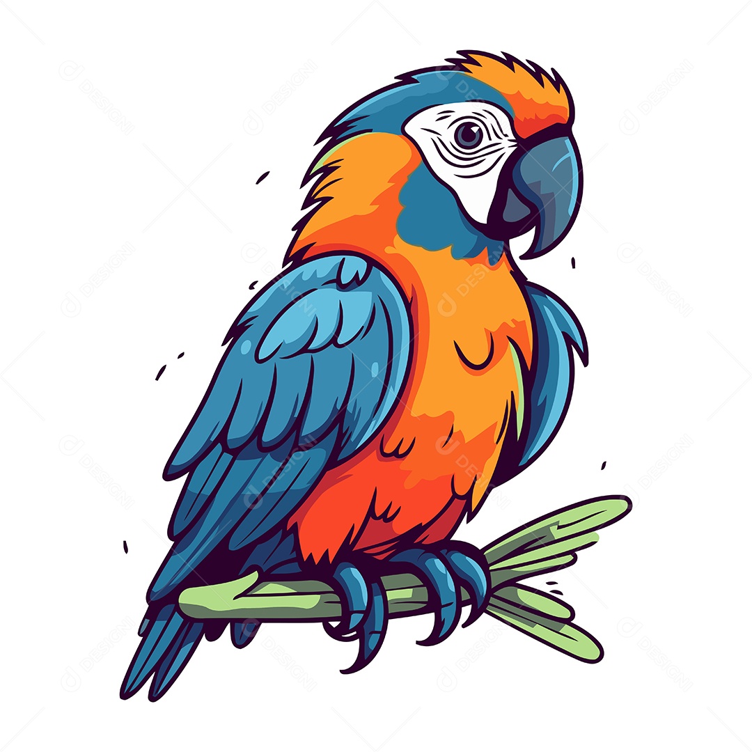 Arara de Desenho Animado Ilustração Vetor EPS