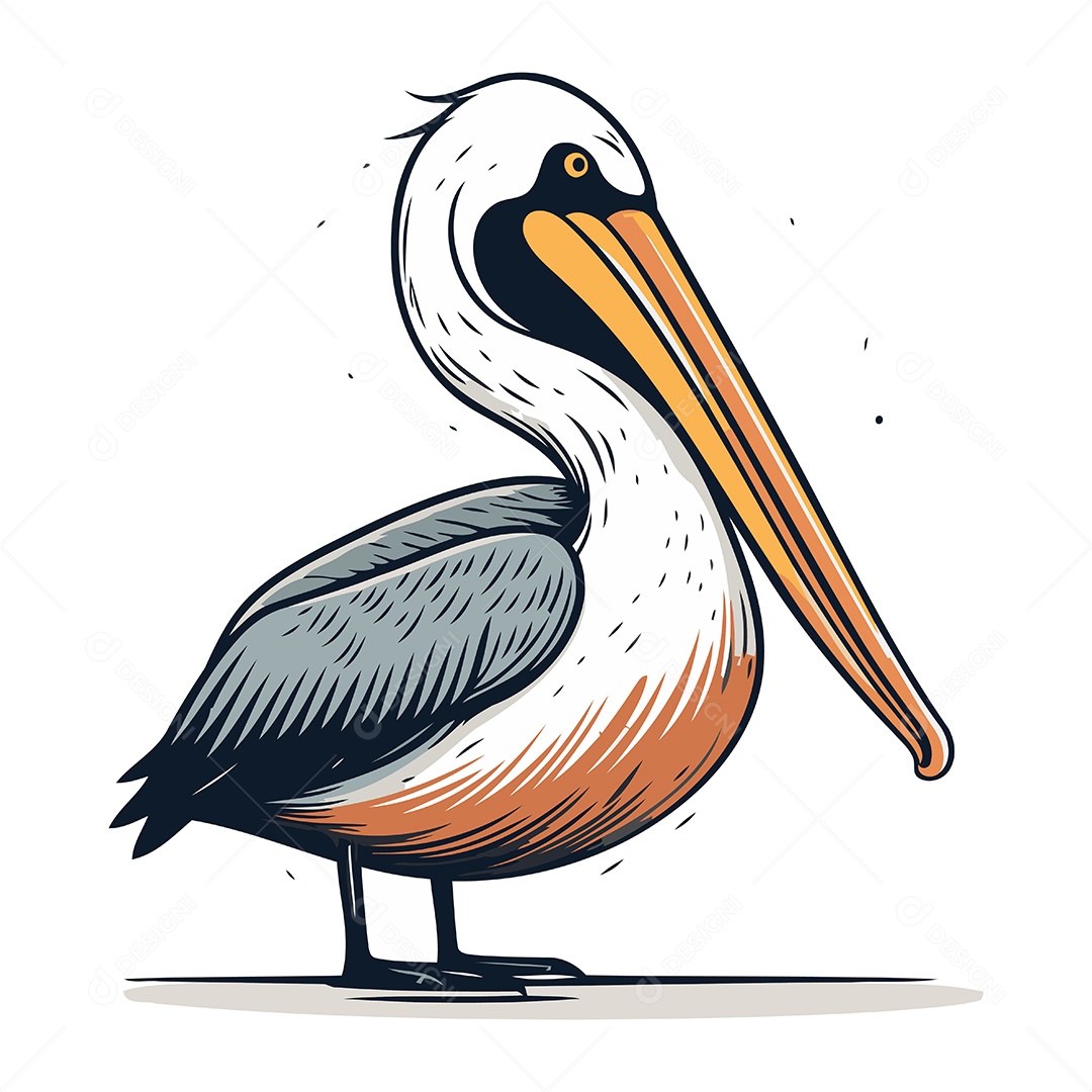 Pelicano de Desenho Animado Ilustração Vetor EPS
