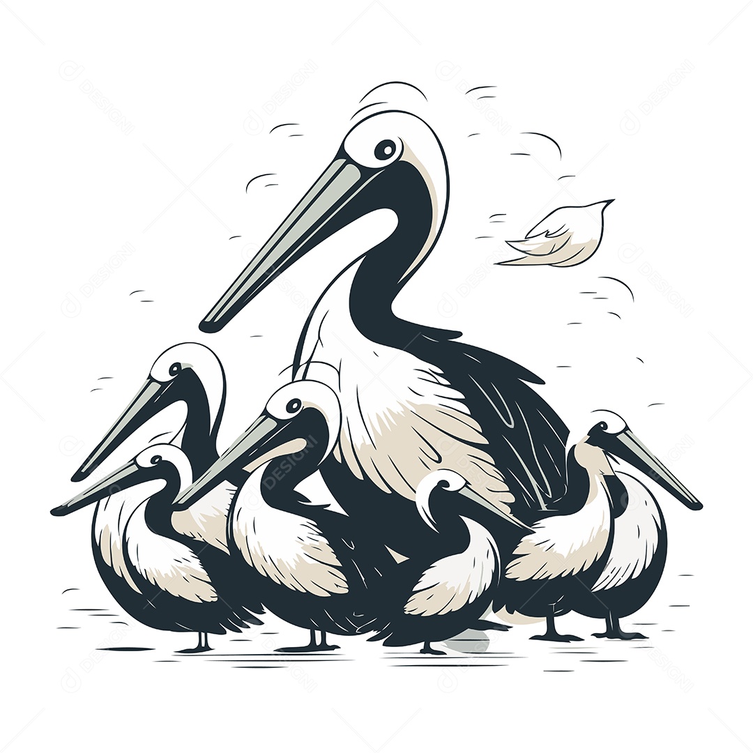 Família de Pelicanos Ilustração Vetor EPS
