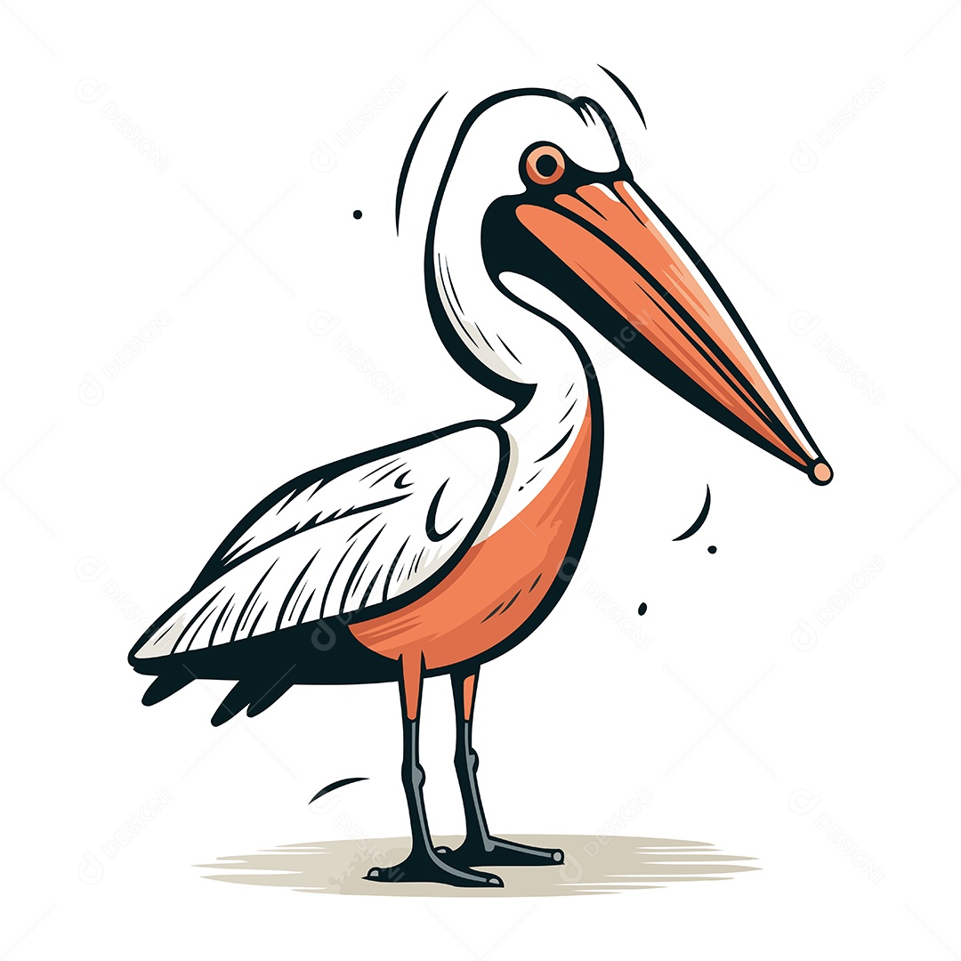 Pelicano de Desenho Animado Ilustração Vetor EPS