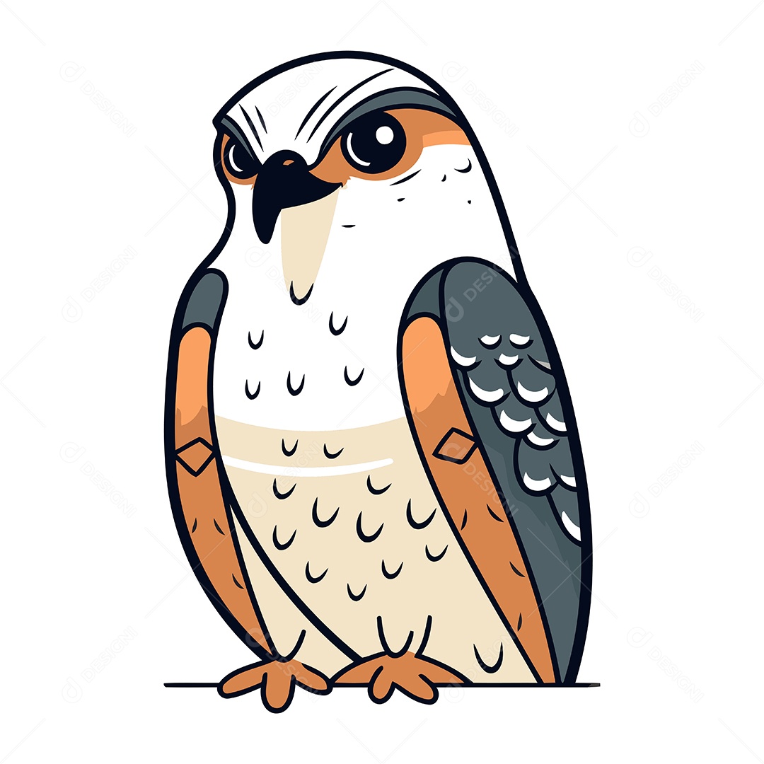 Gavião de Desenho Animado Ilustração Vetor EPS