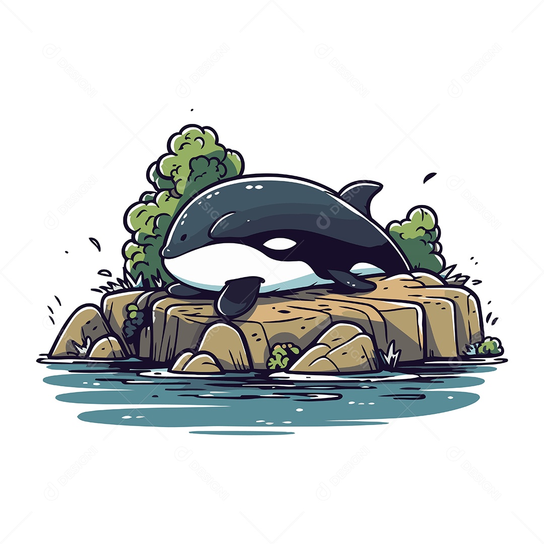 Baleia Assassina na Rocha Ilustração Vetor EPS