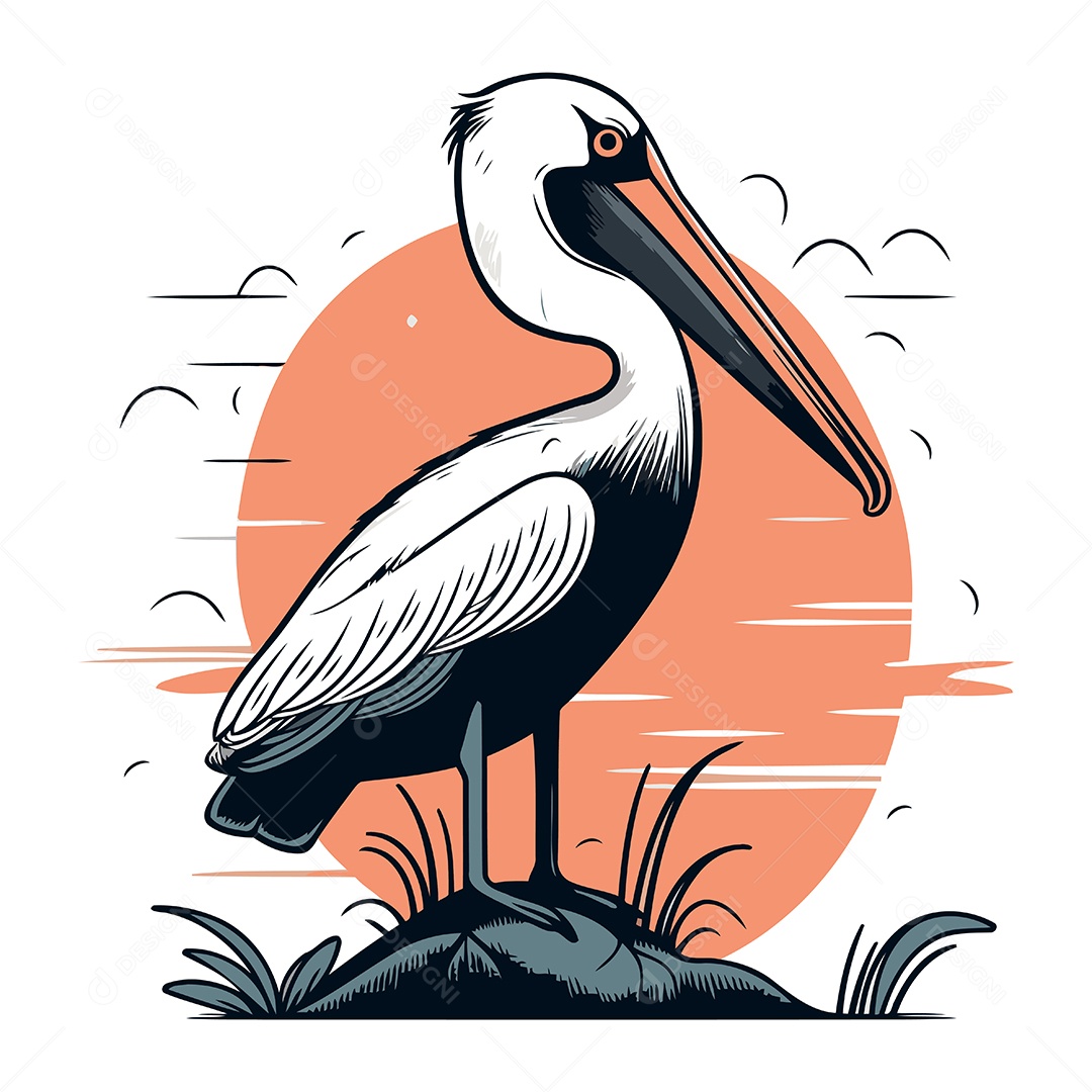 Pelicano de Desenho Animado Ilustração Vetor EPS