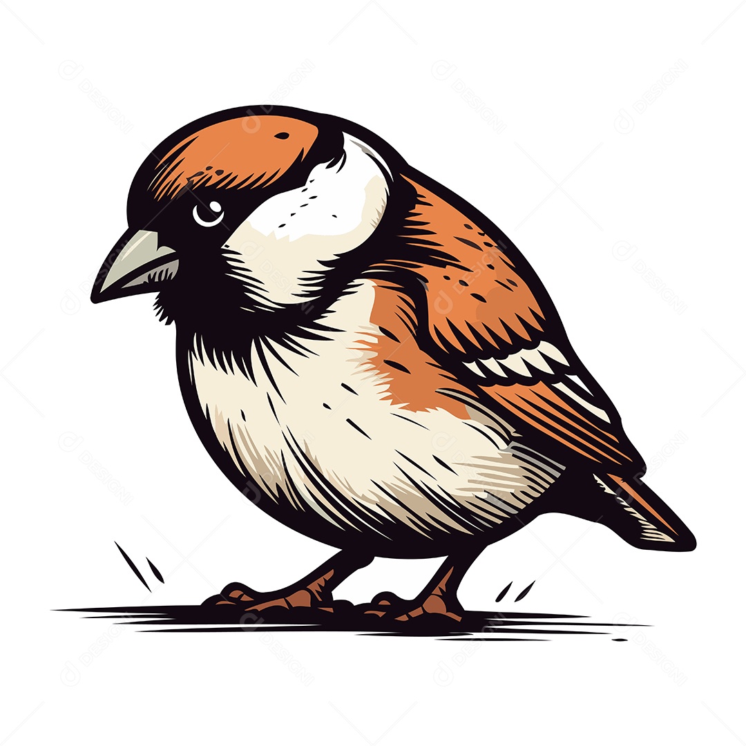 Pássaro Pardal de Desenho Animado Ilustração Vetor EPS