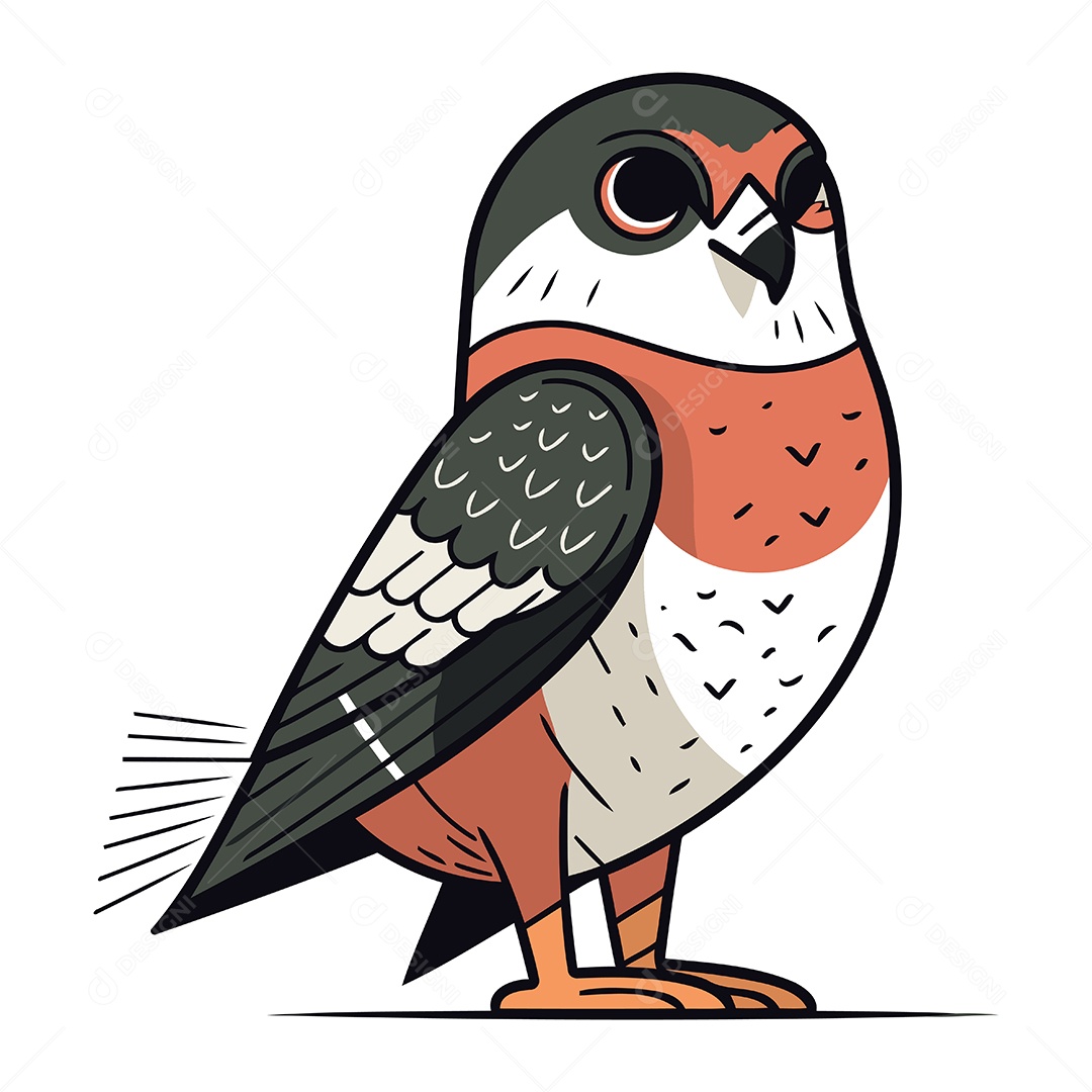 Falcão de Dorso Vermelho Ilustração Vetor EPS