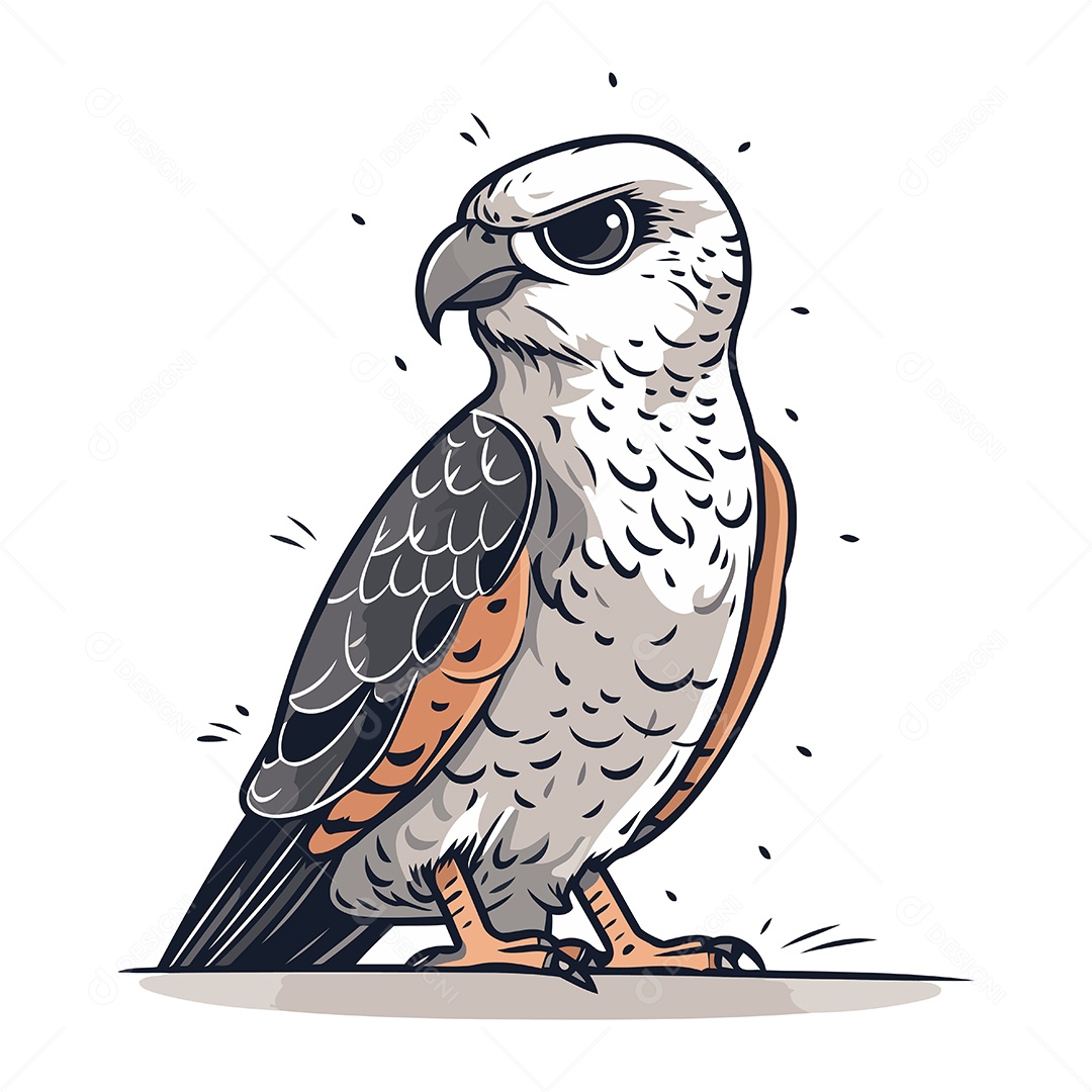 Falcão de Desenho Animado Ilustração Vetor EPS