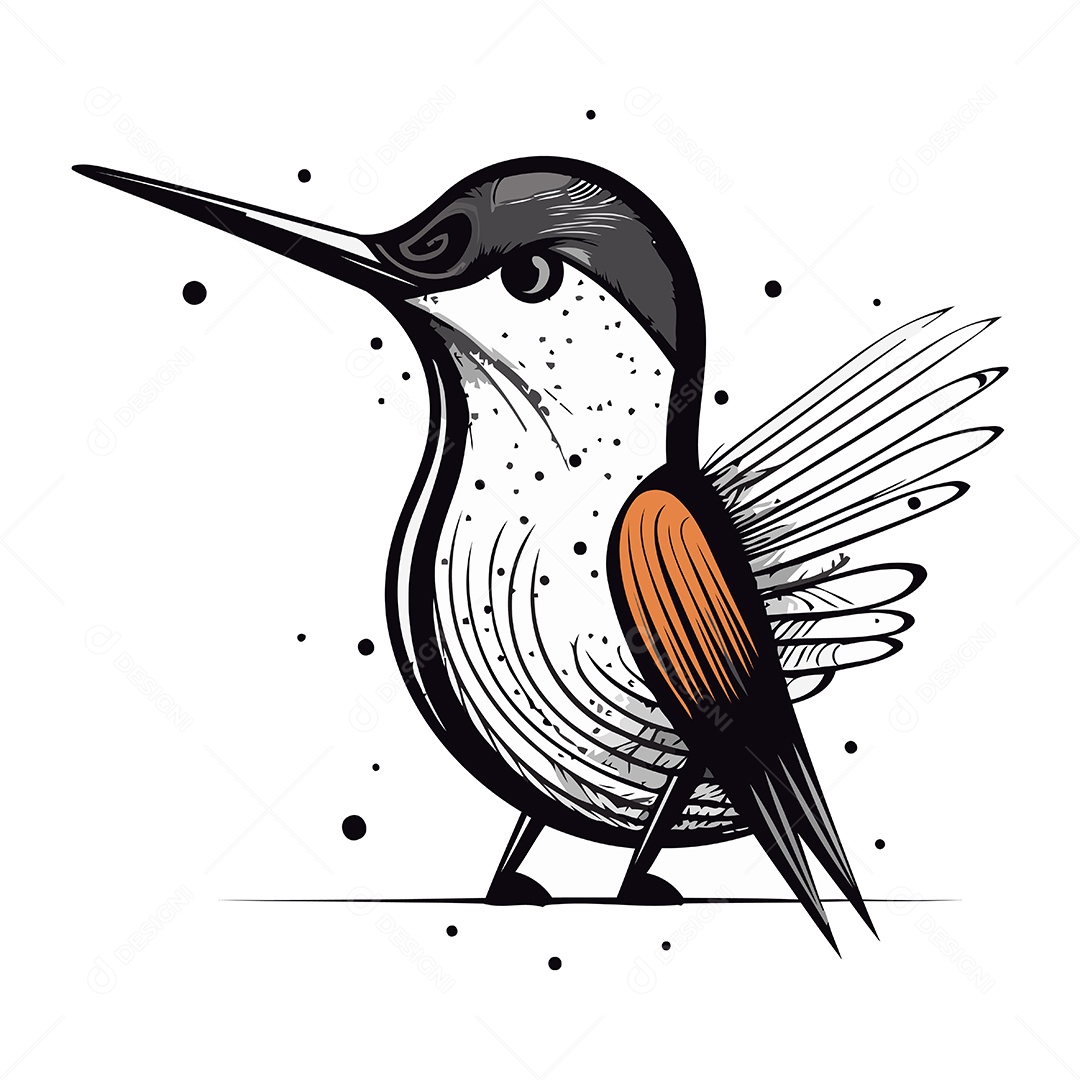 Beija Flor de Desenho Animado Ilustração Vetor EPS