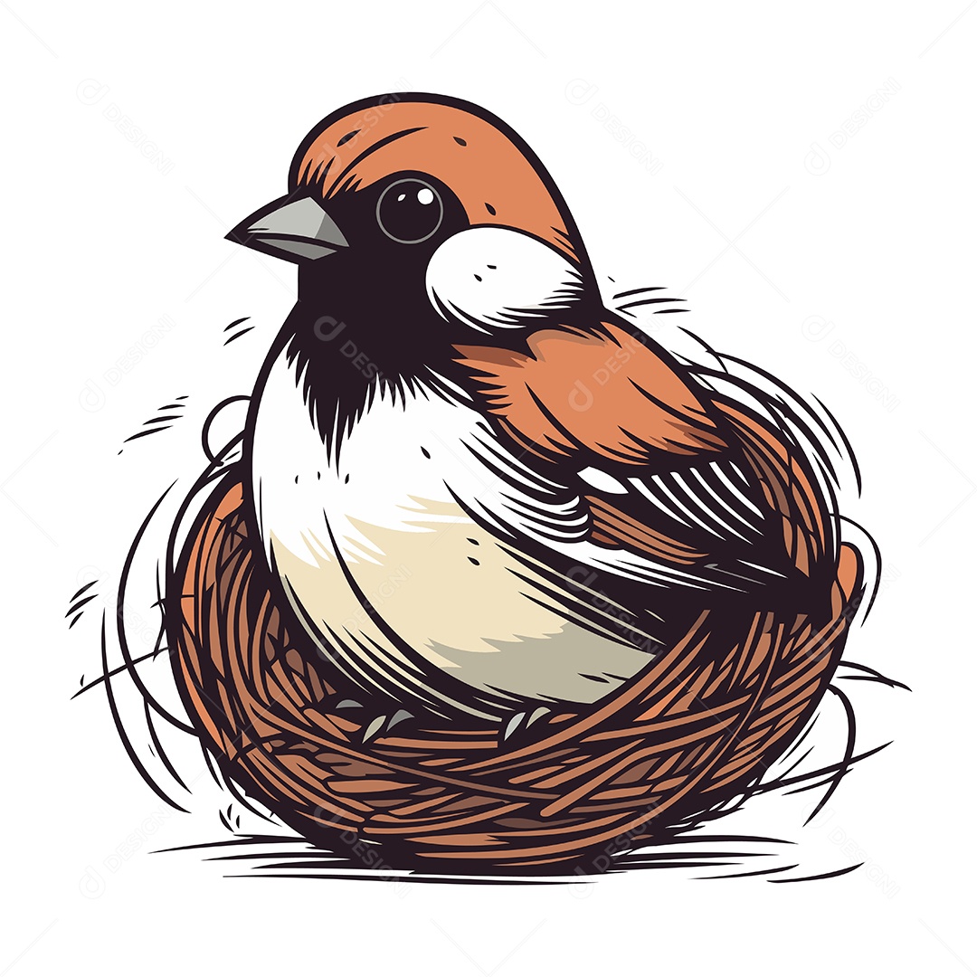 Pássaro Pardal de Desenho Animado no Ninho Ilustração Vetor EPS