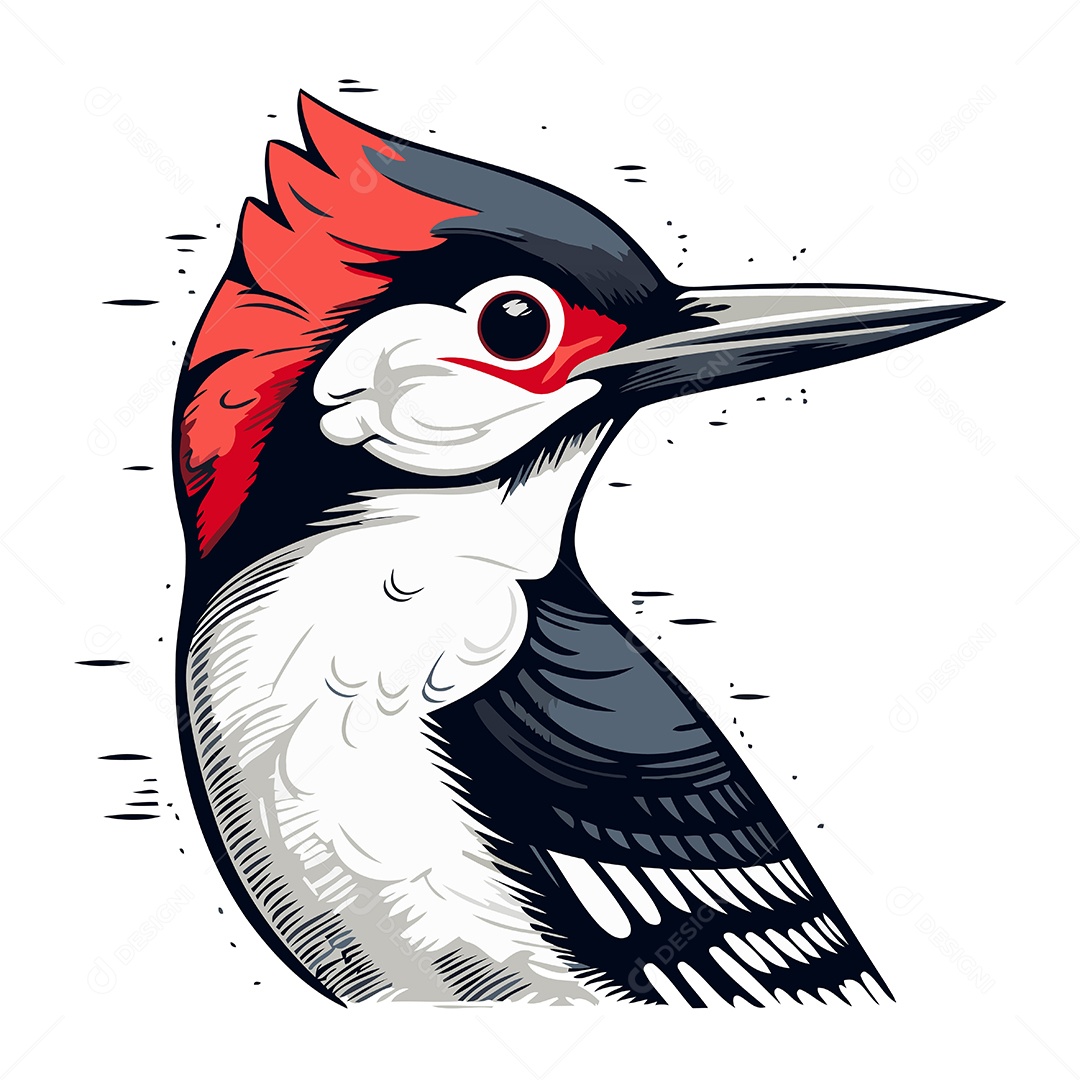 Cabeça de Pica Pau Desenho Animado Ilustração Vetor EPS