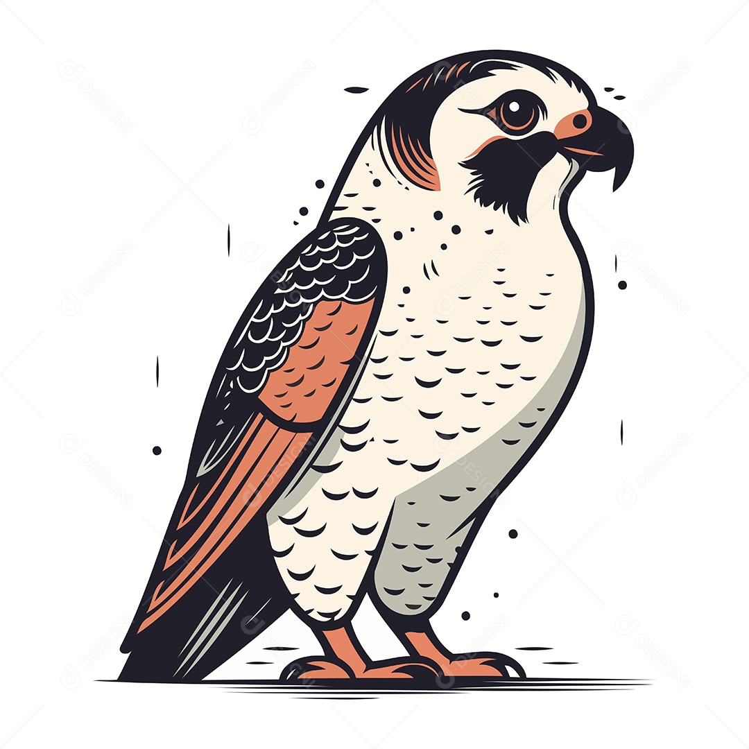 Falcão de Desenho Animado Ilustração Vetor EPS