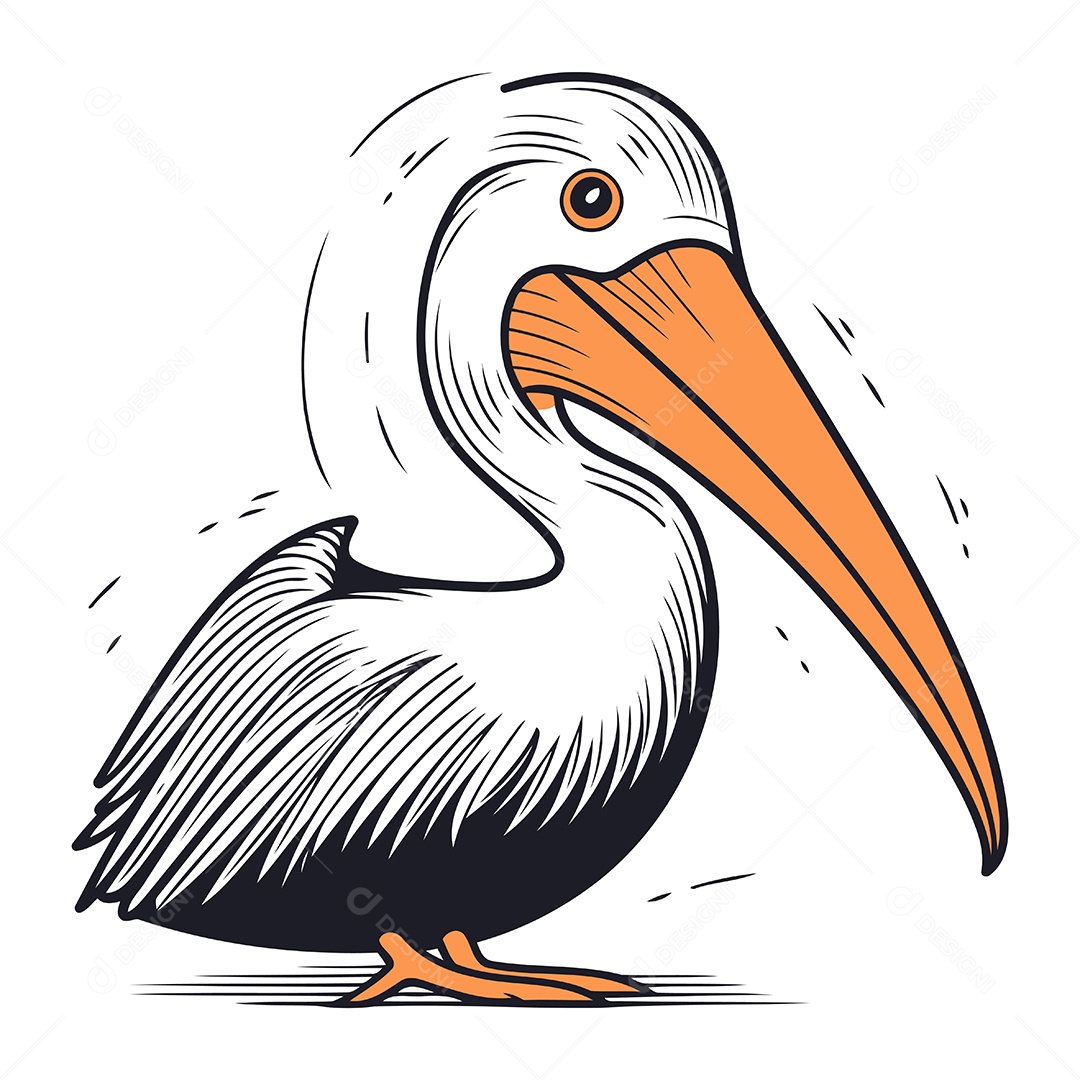 Pelicano de Desenho Animado Ilustração Vetor EPS