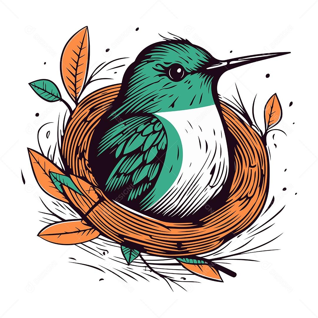 Beija Flor Sentado em um Ninho Ilustração Vetor EPS