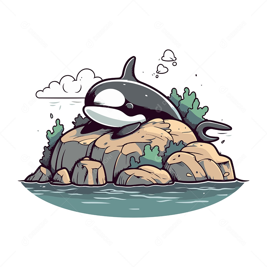 Baleia Assassina em uma Rocha Ilustração Vetor EPS