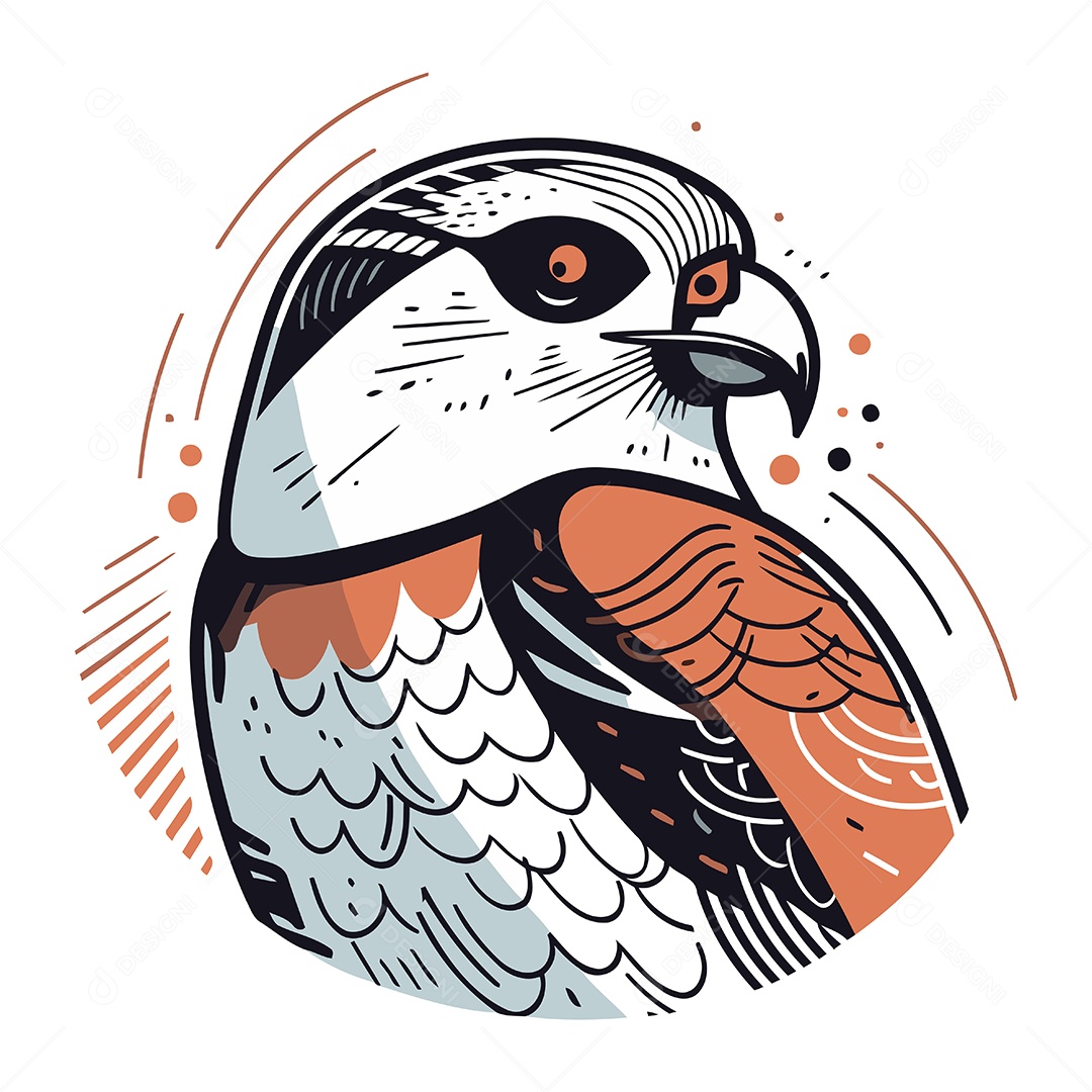 Cabeça de Falcão Desenho Animado Ilustração Vetor EPS