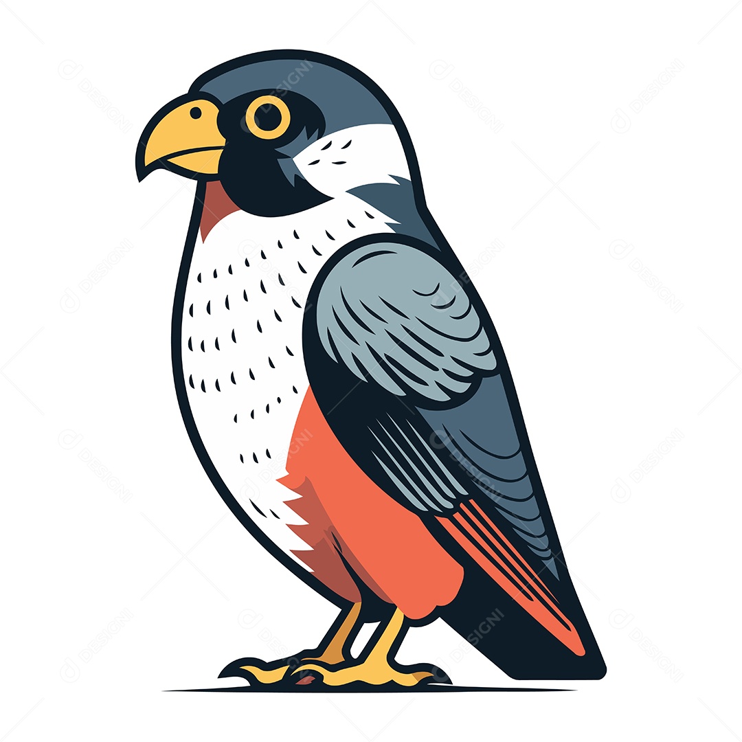 Falcão de Desenho Animado Ilustração Vetor EPS