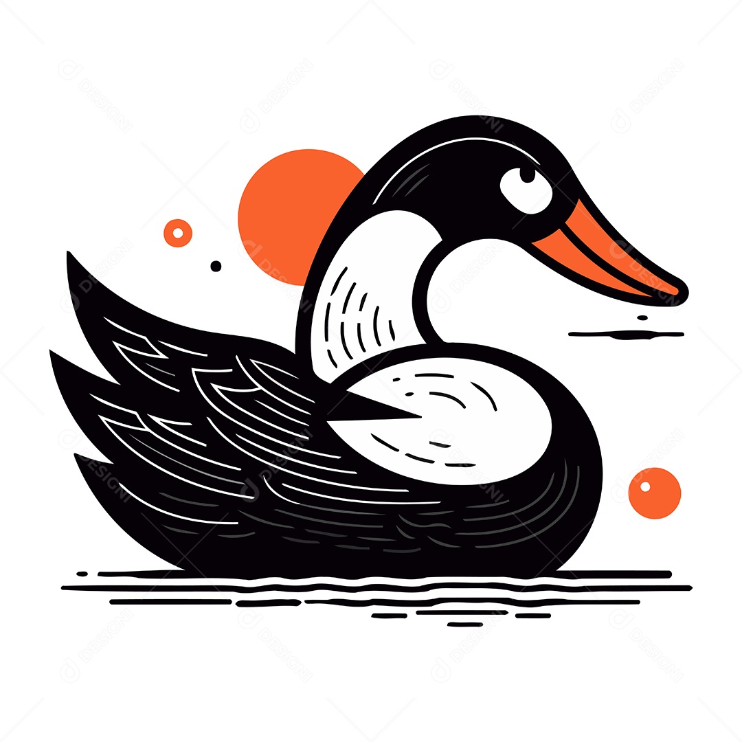 Cisne Negro de Desenho Animado Ilustração Vetor EPS