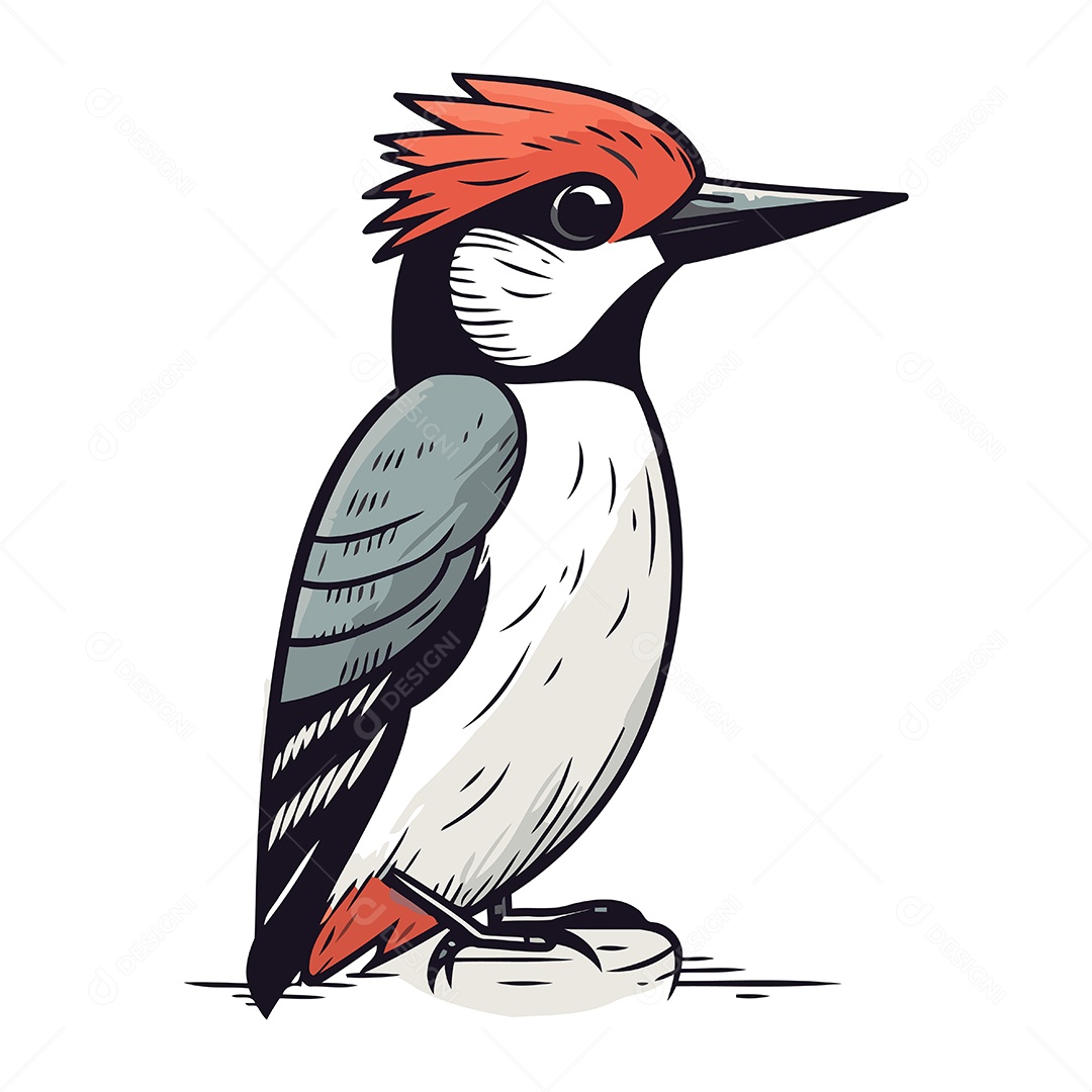 Pica Pau de Desenho Animado Ilustração Vetor EPS