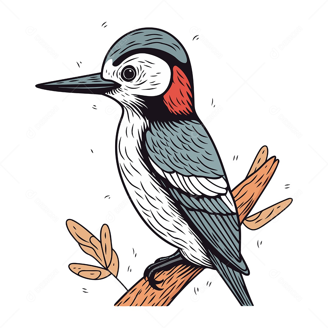 Pica Pau de Desenho Animado Ilustração Vetor EPS