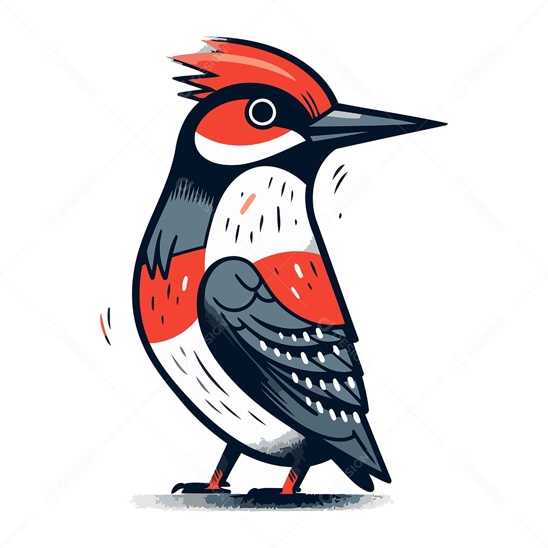 Pica Pau de Dorso Vermelho Ilustração Vetor EPS