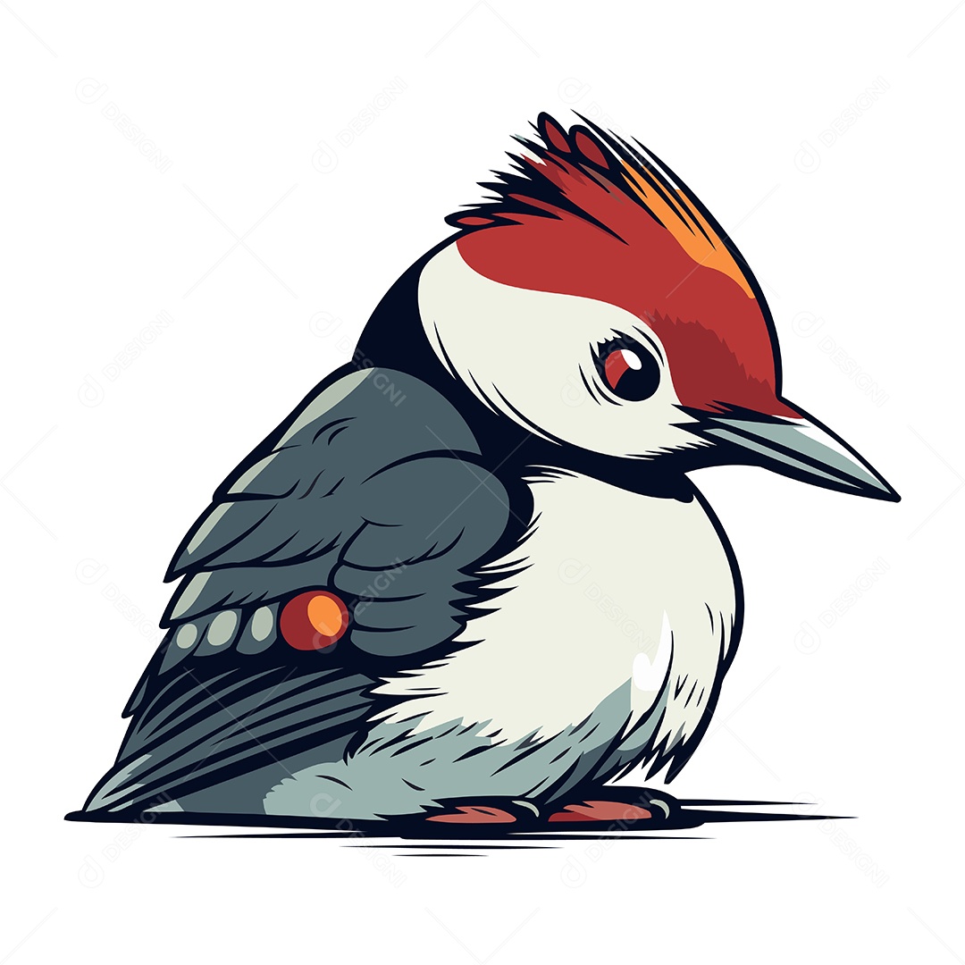 Pica Pau de Dorso Vermelho Desenho Animado Ilustração Vetor EPS