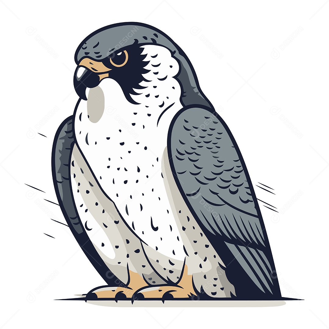 Falcão Peregrino de Desenho Animado Ilustração Vetor EPS