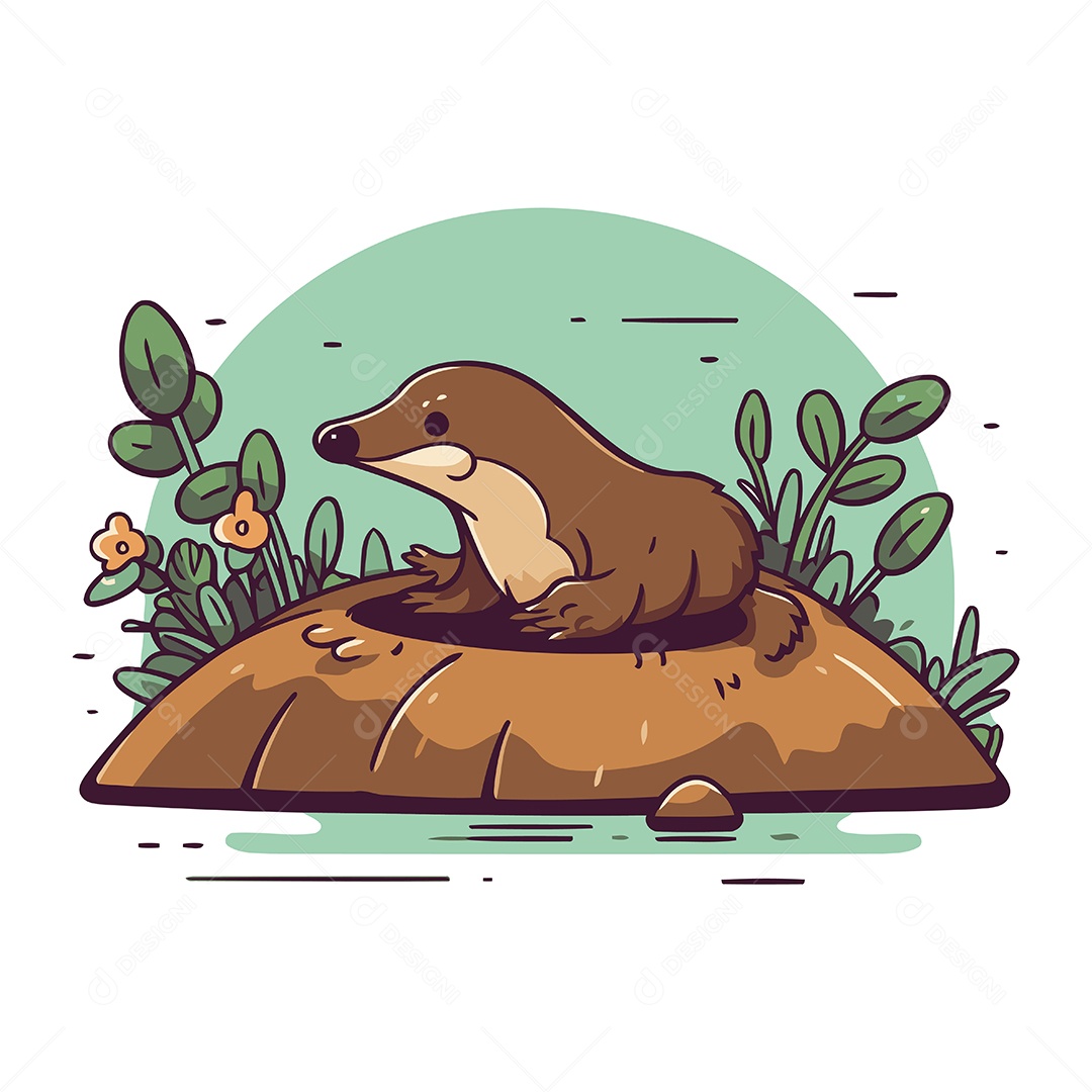 Foca de Desenho Animado Ilustração Vetor EPS