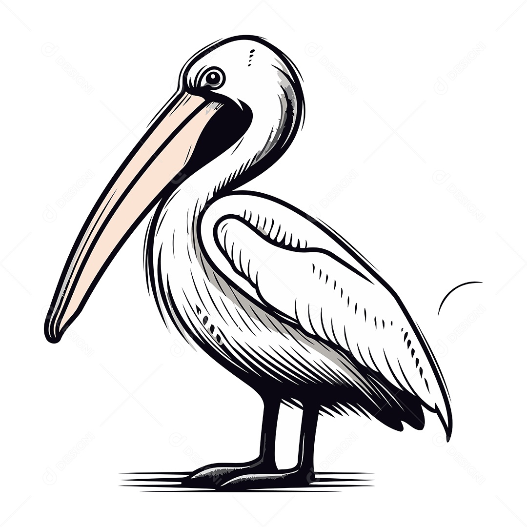 Pelicano de Desenho Animado Ilustração Vetor EPS