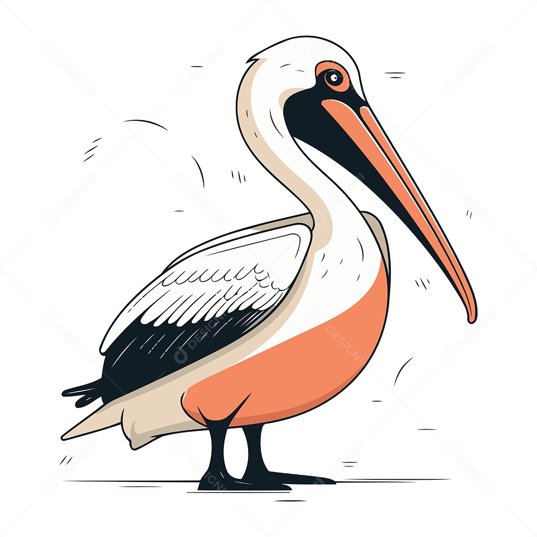 Pelicano de Desenho Animado Ilustração Vetor EPS