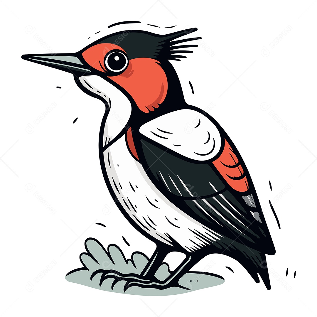 Pica Pau de Desenho Animado Ilustração Vetor EPS