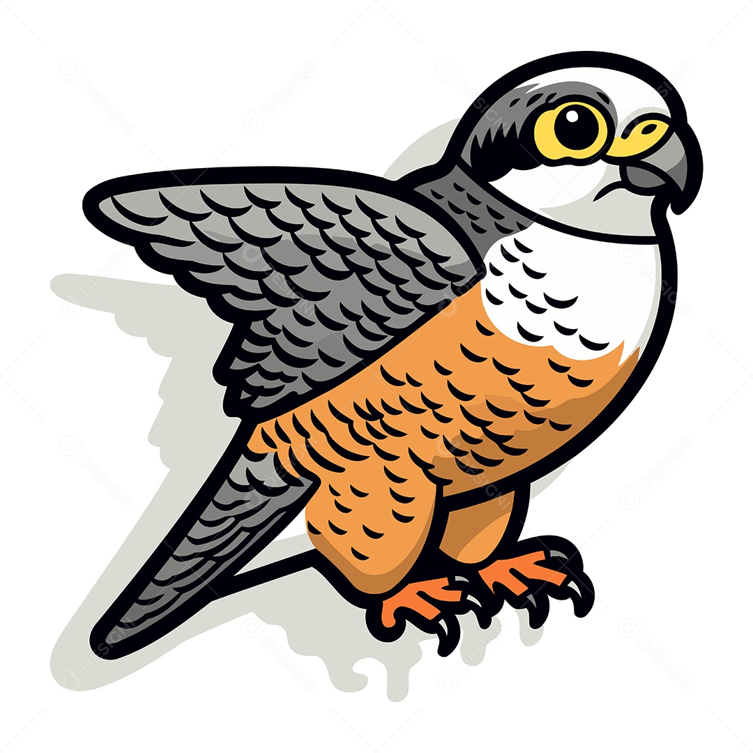 Falcão de Desenho Animado Ilustração Vetor EPS