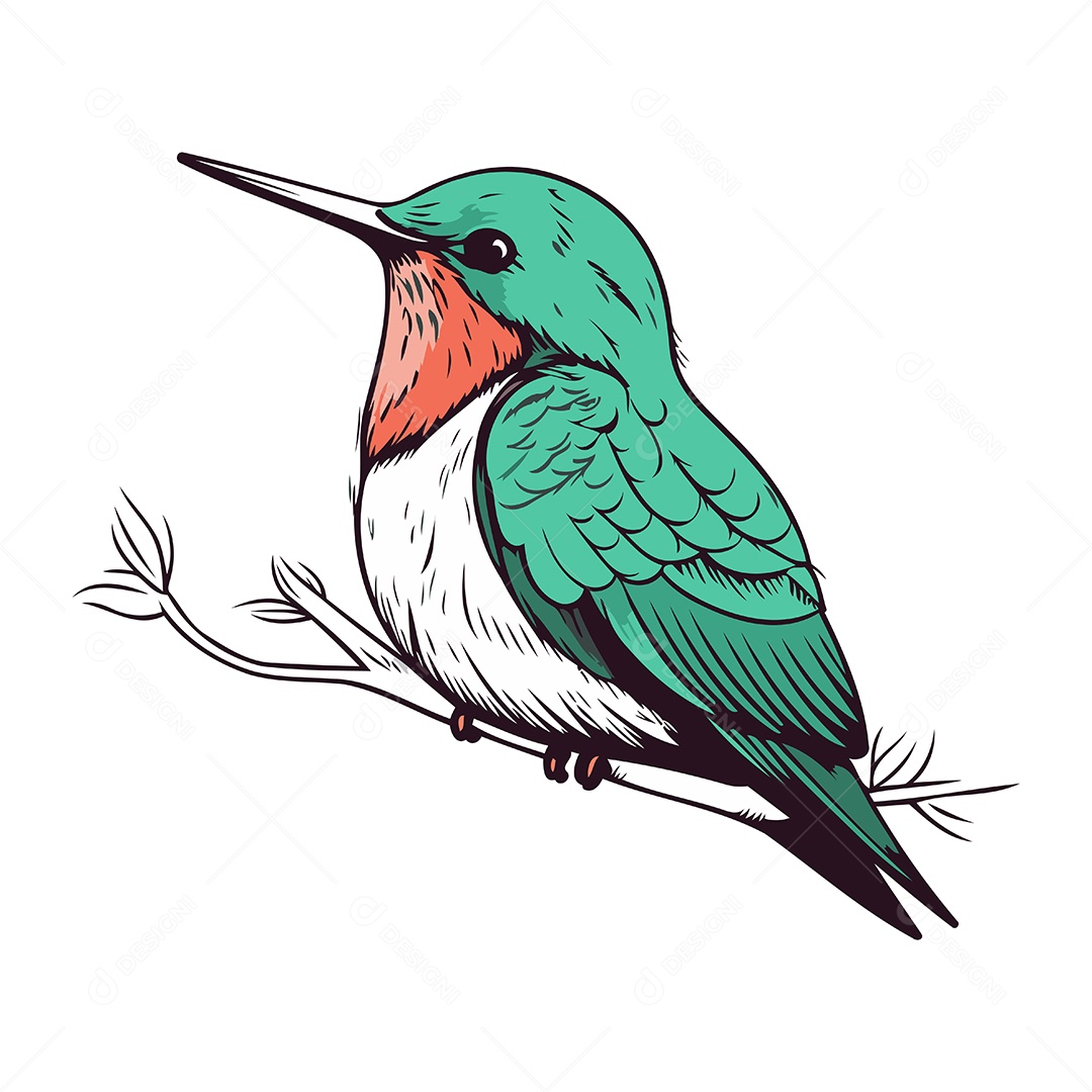 Beija Flor de Desenho Animado Ilustração Vetor EPS