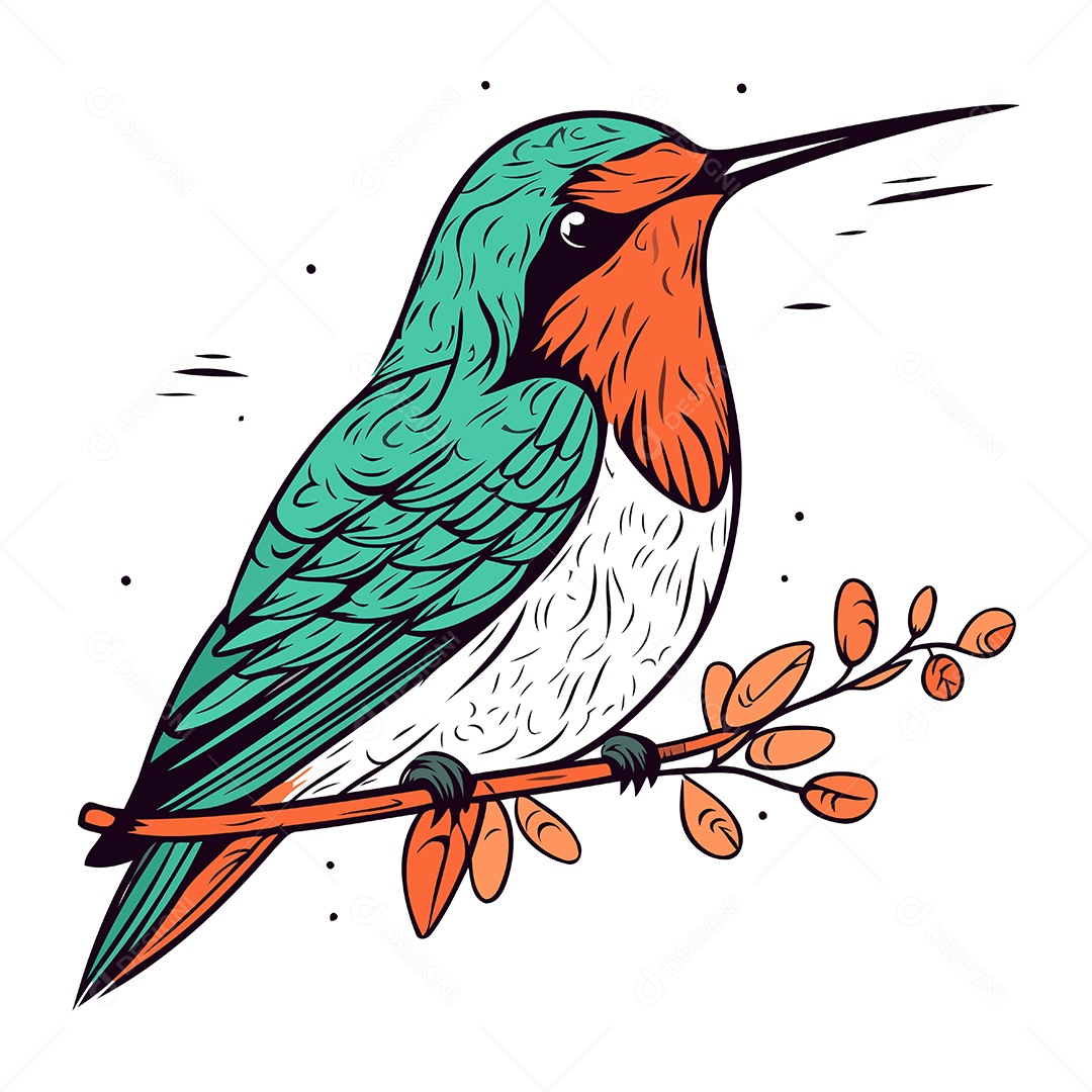 Beija Flor de Desenho Animado Ilustração Vetor EPS