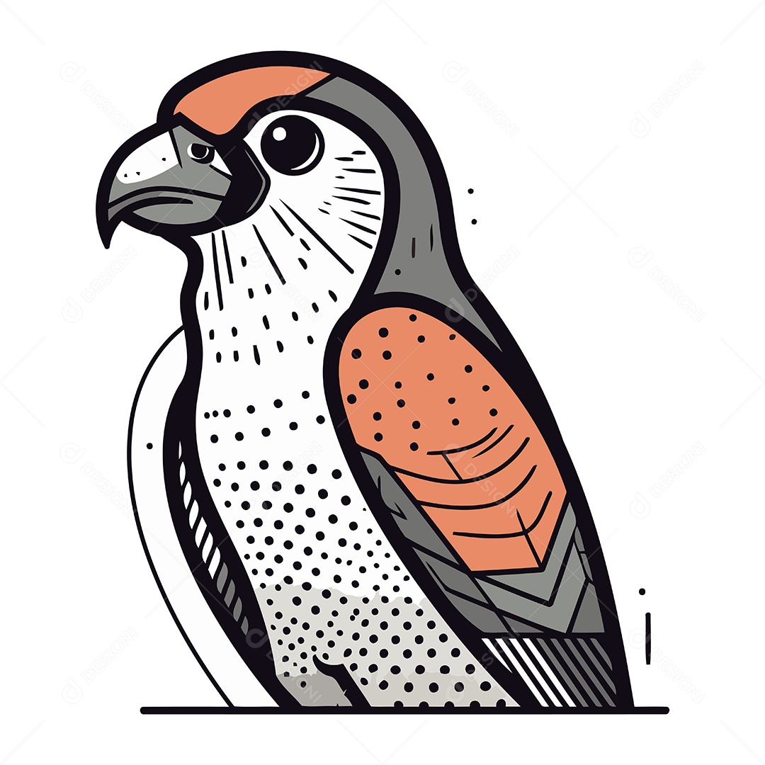 Falcão de Desenho Animado Ilustração Vetor EPS