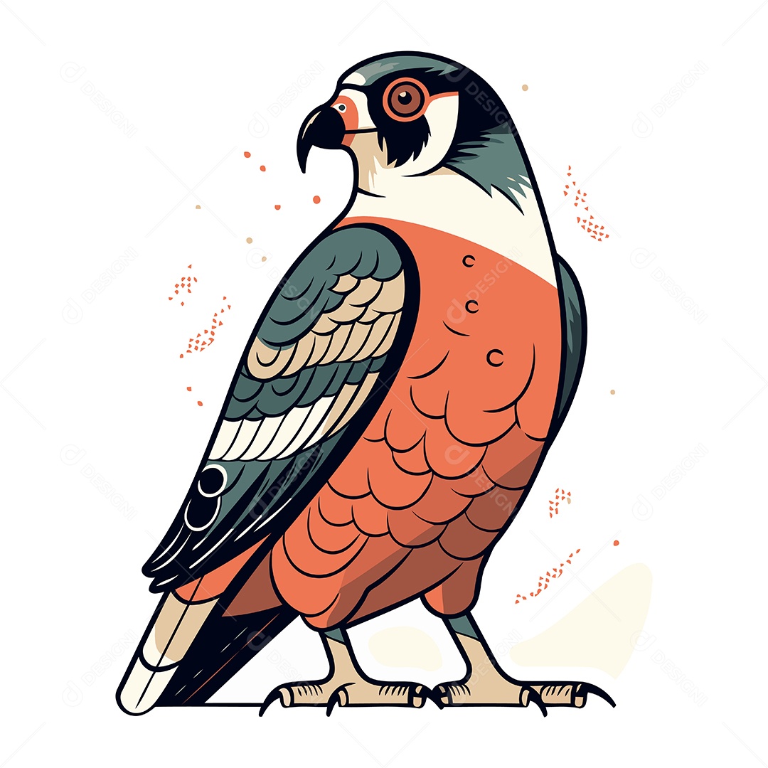 Falcão de Desenho Animado Ilustração Vetor EPS