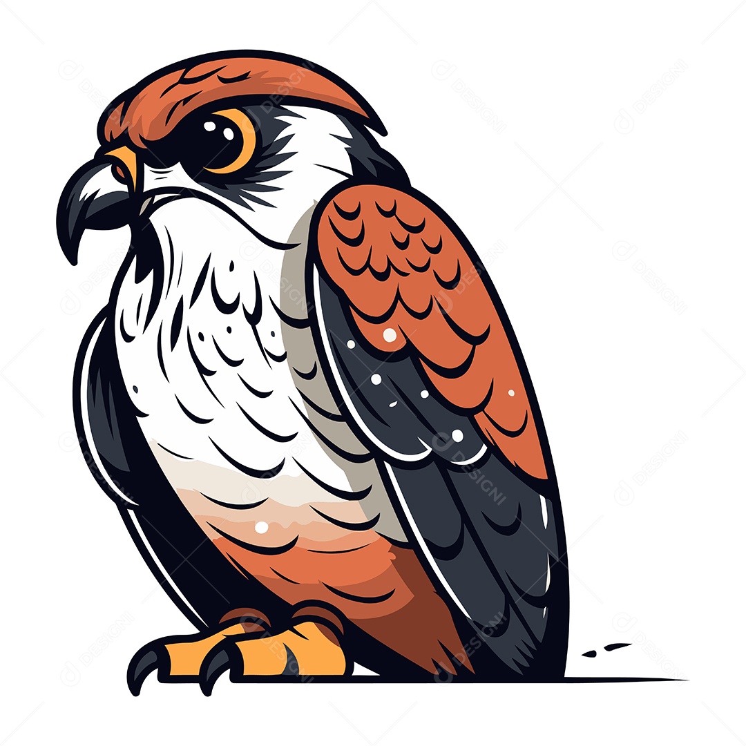 Falcão de Desenho Animado Ilustração Vetor EPS