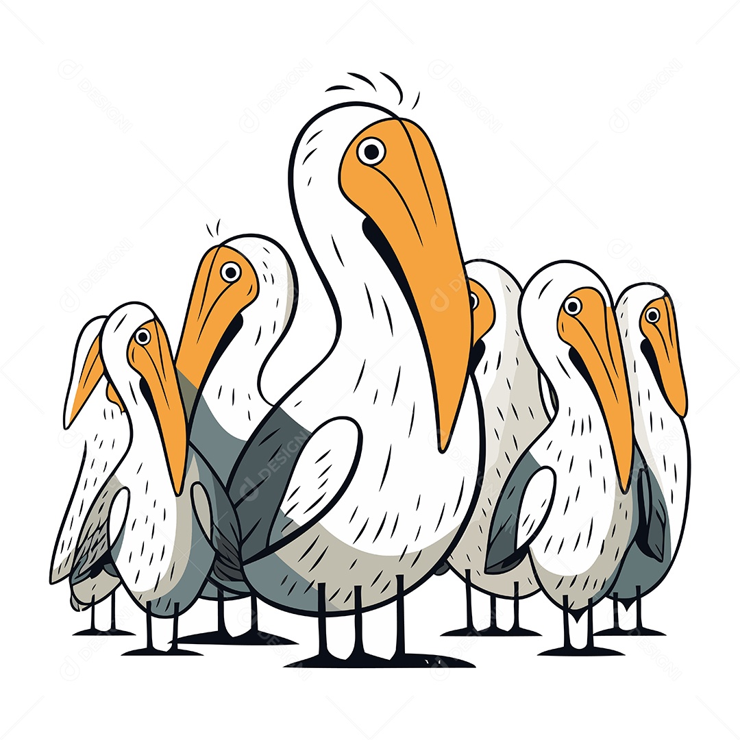 Pelicanos de Desenho Animado Ilustração Vetor EPS