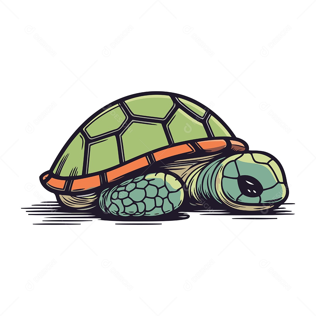 Tartaruga Fofa de Desenho Animado Ilustração Vetor EPS