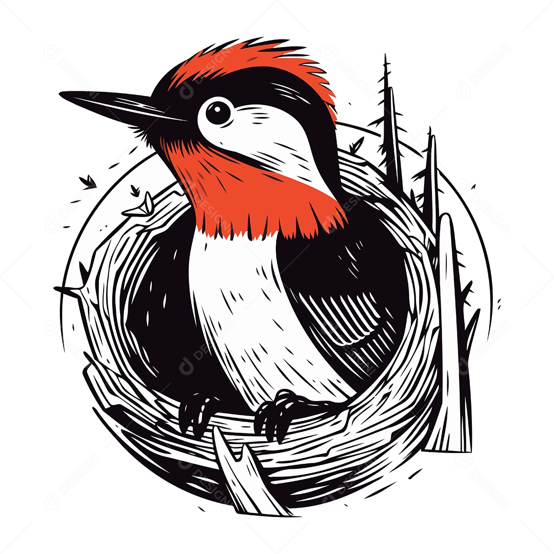 Pica Pau no Ninho Desenho Animado Ilustração Vetor EPS