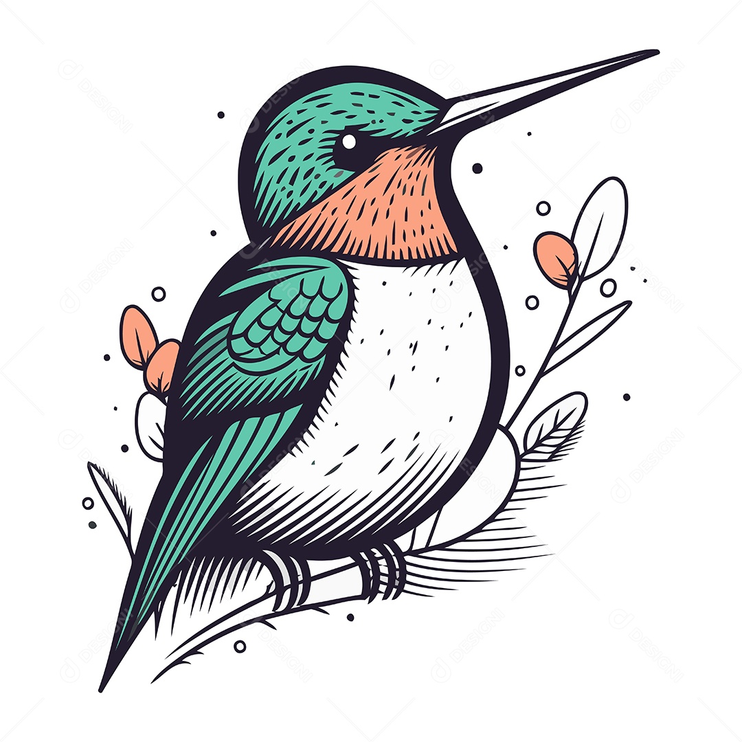 Beija Flor de Desenho Animado Ilustração Vetor EPS