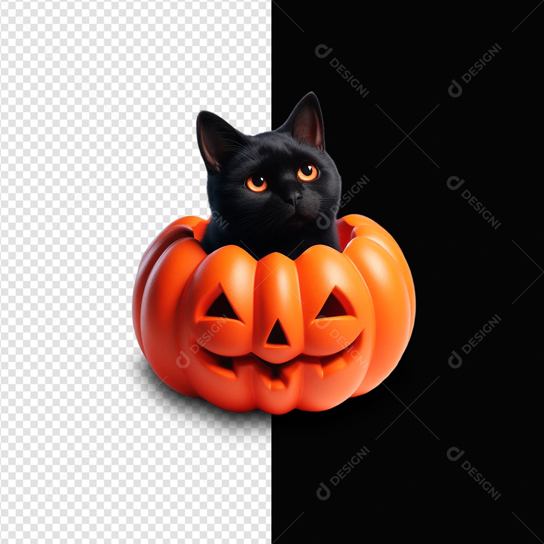Elemento 3D Gato Preto Dentro De Abóbora Para Composição PSD