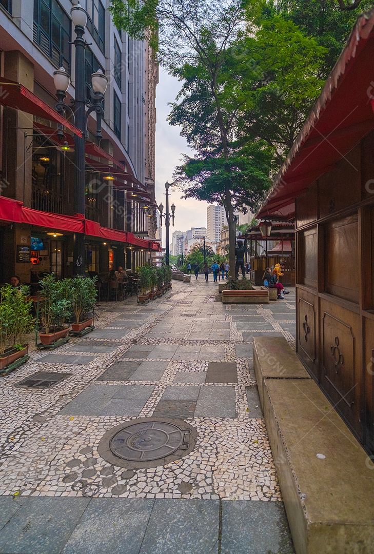Vista de ruas e prédios do centro de São Paulo