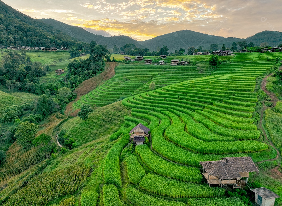 Paisagem de terraços verdes de arroz em meio à agricultura de montanha.