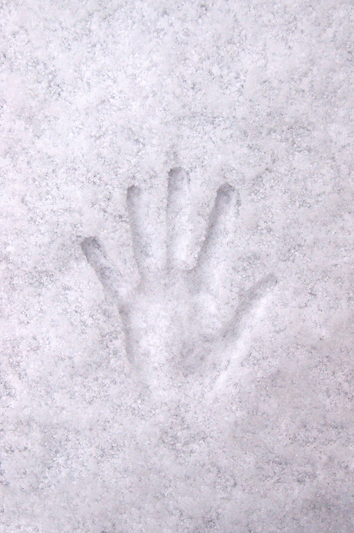 Marcas de mão na neve