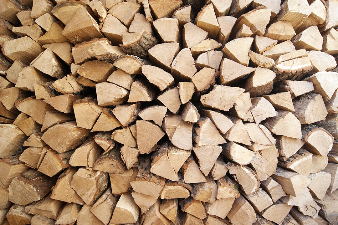 Pilha de lenhas para o inverno