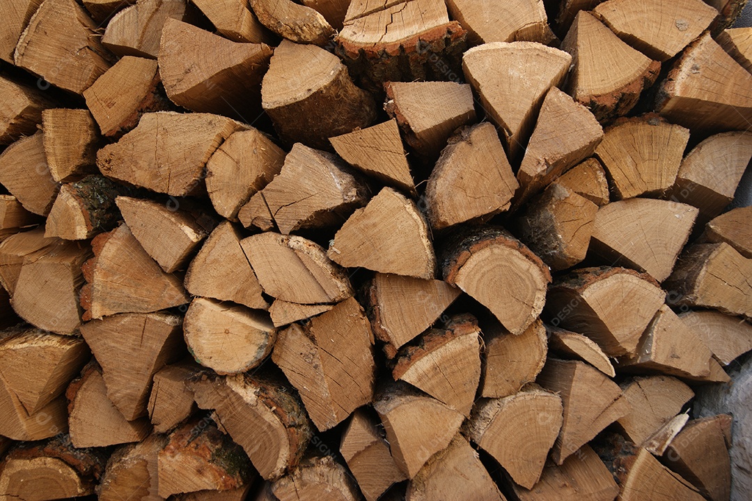 Pilha de lenhas para o inverno