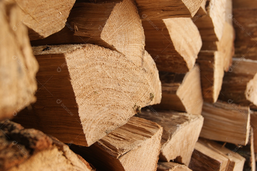 Árvore cortada foi empilhada para o inverno