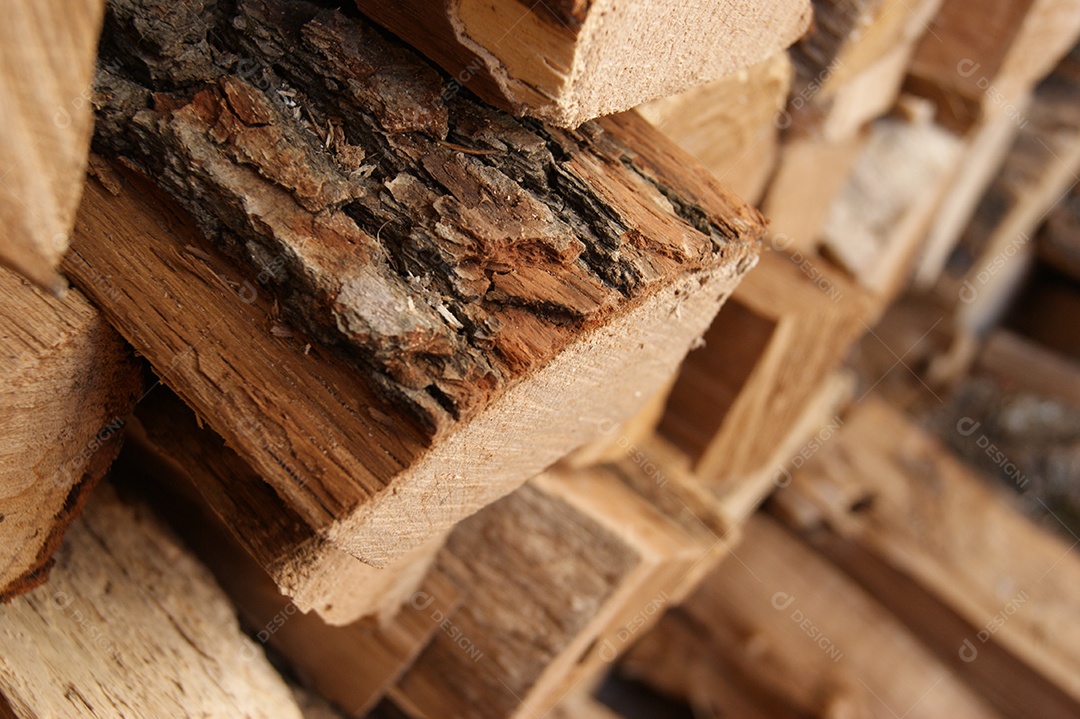 Árvore cortadas para o inverno