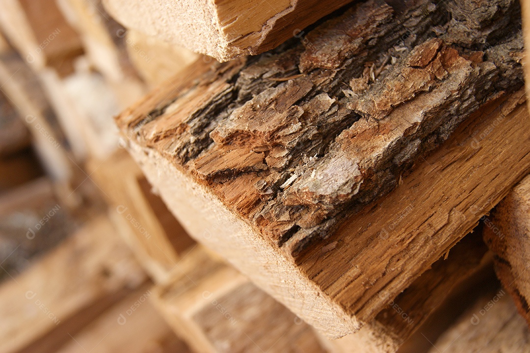 Árvore cortada foi empilhada para o inverno