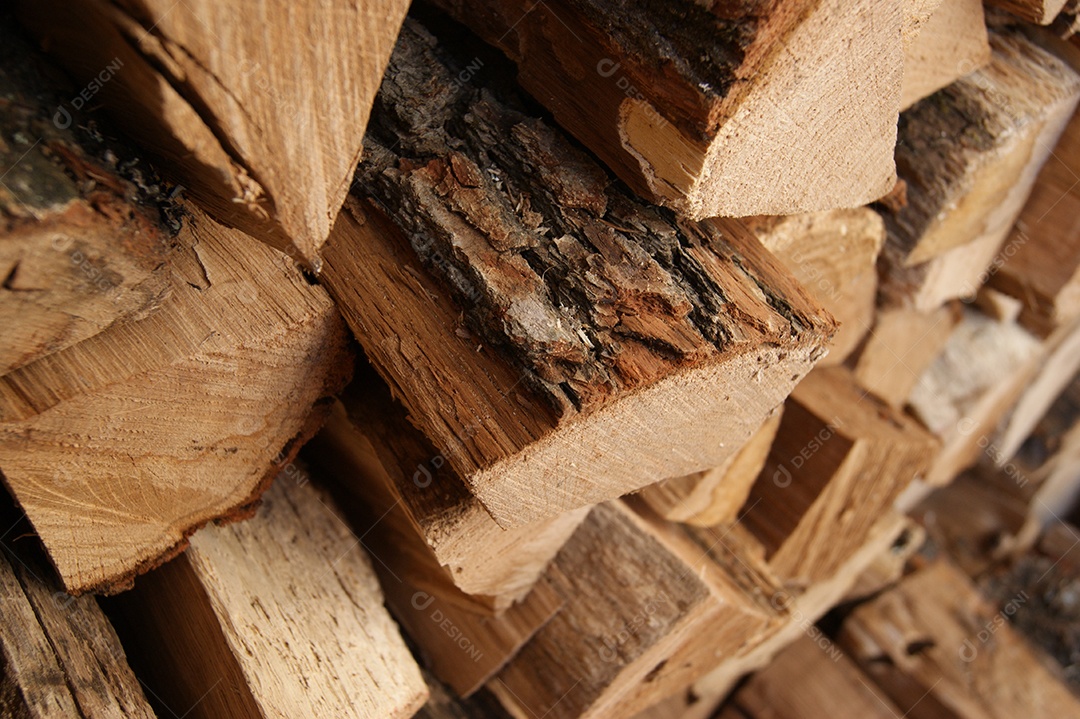 Árvore cortada foi empilhada para o inverno