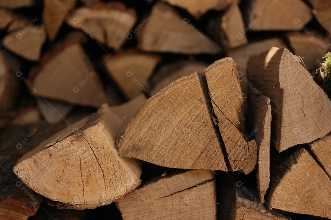 Árvore cortada foi empilhada para o inverno